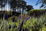 100 Seascape Resort Drive - Photo 16