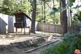 53505 Tollgate Road - Photo 41