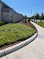 2001 Wildflower Drive - Photo 2