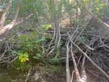 0 Logging Road - Photo 11