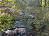 0 Logging Road - Photo 2