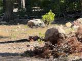 0 Logging Road - Photo 5