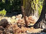0 Logging Road - Photo 6