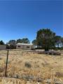 37380 Bohlen - Photo 8