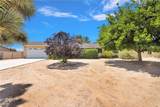 15185 Orange - Photo 3