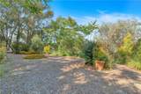 9925 Shadow Hills - Photo 58