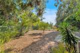 9925 Shadow Hills - Photo 60