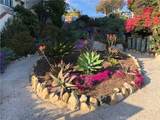 274 3 Diamond Street - Photo 27