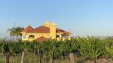 34083 Vino Way - Photo 11