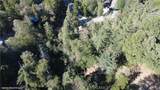25659 North Road - Photo 5