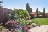 733 Temescal Way - Photo 110