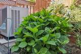 733 Temescal Way - Photo 112