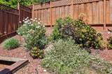 733 Temescal Way - Photo 113