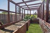 733 Temescal Way - Photo 119