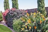 733 Temescal Way - Photo 123