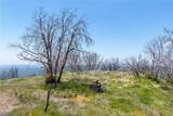 39 Acres Buckingham Mountain Road - Photo 11