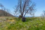 39 Acres Buckingham Mountain Road - Photo 12