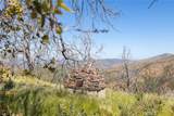 39 Acres Buckingham Mountain Road - Photo 13