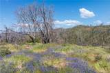 39 Acres Buckingham Mountain Road - Photo 14