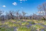 39 Acres Buckingham Mountain Road - Photo 15