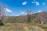 39 Acres Buckingham Mountain Road - Photo 16
