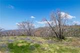 39 Acres Buckingham Mountain Road - Photo 17