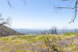 39 Acres Buckingham Mountain Road - Photo 19