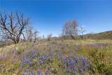 39 Acres Buckingham Mountain Road - Photo 20