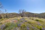39 Acres Buckingham Mountain Road - Photo 21