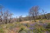 39 Acres Buckingham Mountain Road - Photo 22