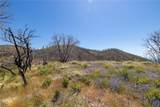39 Acres Buckingham Mountain Road - Photo 23