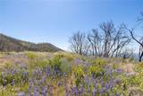 39 Acres Buckingham Mountain Road - Photo 24