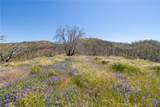 39 Acres Buckingham Mountain Road - Photo 25