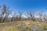 39 Acres Buckingham Mountain Road - Photo 26