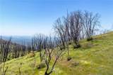 39 Acres Buckingham Mountain Road - Photo 29