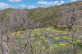 39 Acres Buckingham Mountain Road - Photo 3