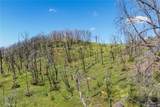 39 Acres Buckingham Mountain Road - Photo 32