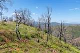 39 Acres Buckingham Mountain Road - Photo 37
