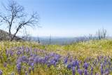 39 Acres Buckingham Mountain Road - Photo 4