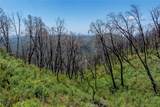 39 Acres Buckingham Mountain Road - Photo 42