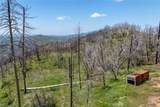 39 Acres Buckingham Mountain Road - Photo 43