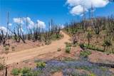 39 Acres Buckingham Mountain Road - Photo 46
