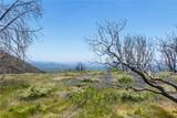 39 Acres Buckingham Mountain Road - Photo 5