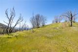 39 Acres Buckingham Mountain Road - Photo 50