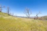 39 Acres Buckingham Mountain Road - Photo 51