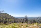 39 Acres Buckingham Mountain Road - Photo 54