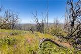 39 Acres Buckingham Mountain Road - Photo 57