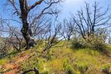 39 Acres Buckingham Mountain Road - Photo 58
