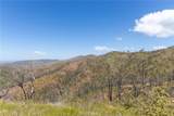 39 Acres Buckingham Mountain Road - Photo 60