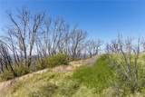 39 Acres Buckingham Mountain Road - Photo 61